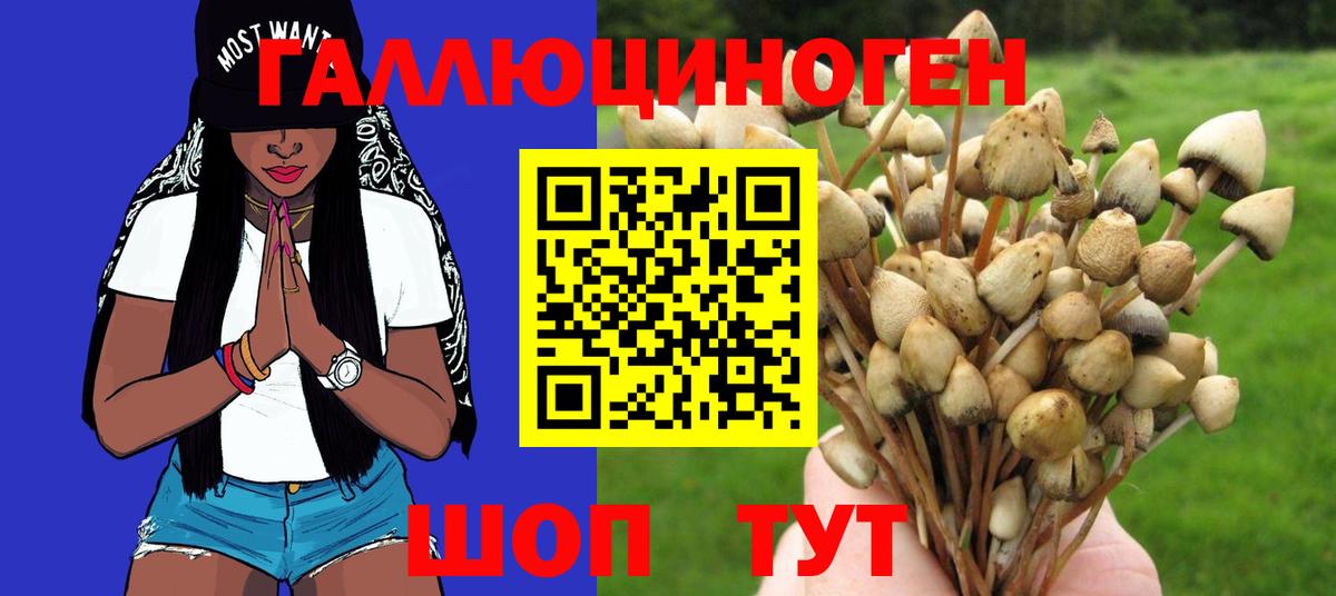 Галлюциногенные грибы мицелий Алатырь
