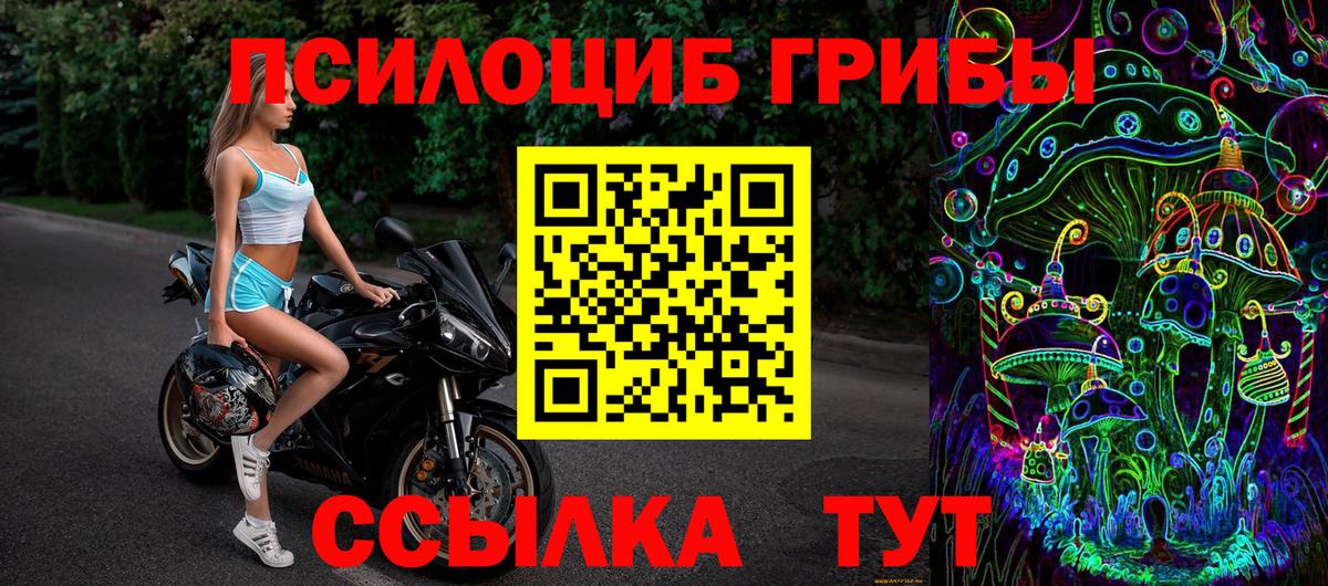 Алатырь  Псилоцибиновые грибы MAGIC MUSHROOMS  где можно купить наркотик  Вход с VPN 